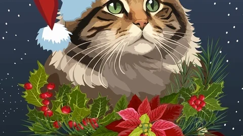 cat meme