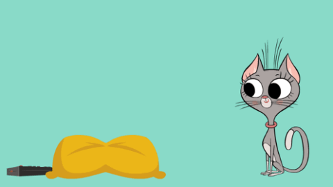 cat meme
