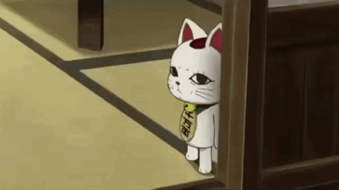 cat meme