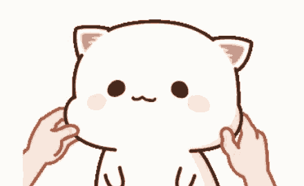 cat meme