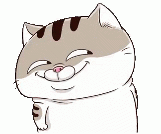 cat meme