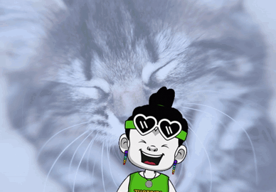 cat meme