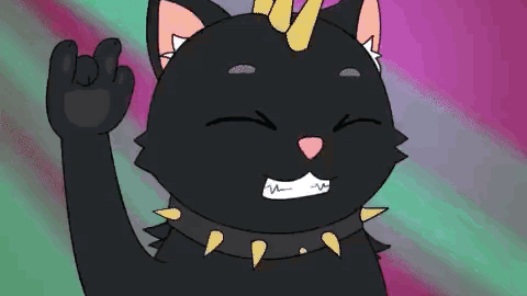 cat meme