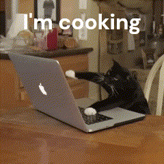 cat meme
