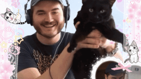 cat meme