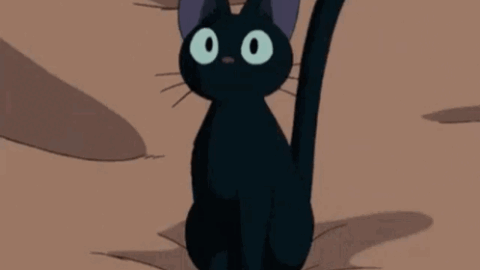 cat meme