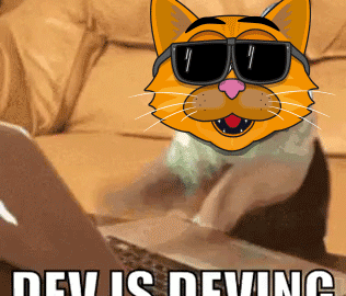 cat meme