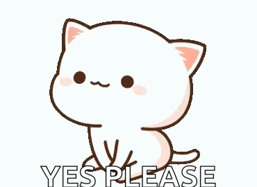 cat meme