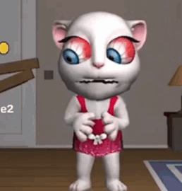 cat meme